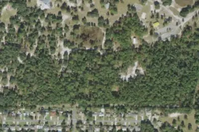 Ivy Grove