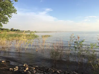 Willard Bay SP 4148