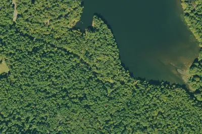 Camp site