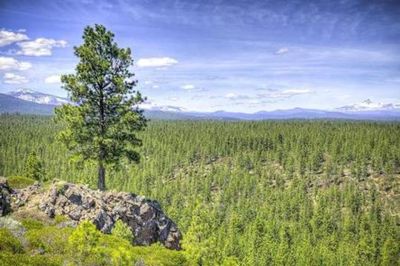 Three Creeks Lake Campground