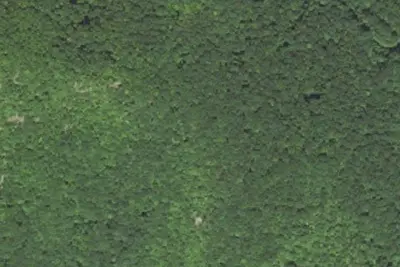 Camp site