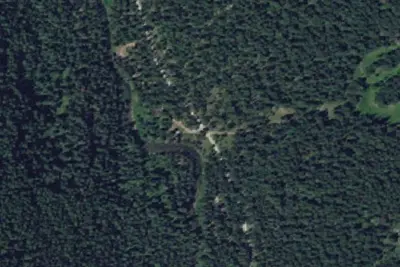Turkey Flat Forest Camp