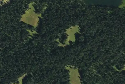 Camp site