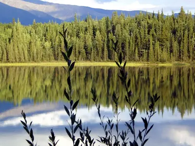 Boya Lake Provincial Park^^ In the Cassiars mountains ^^ Northern BC^^Ici hurlent les loups le soir ^^Real Wildernes area - panoramio