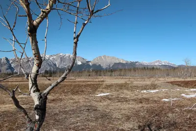 Yumnuska mountain Alberta Canada (16144116964)