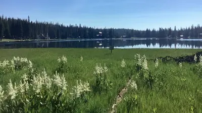 Woodward Campground