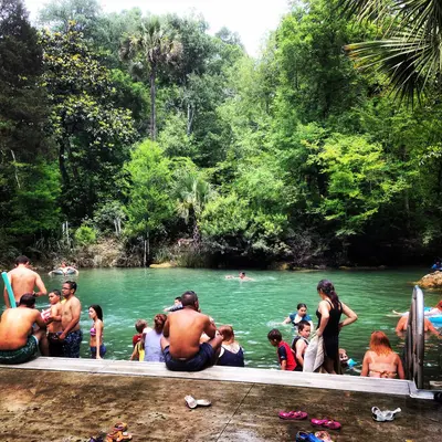 Ecofina Creek
