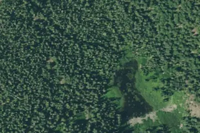 Fuller Shelter Forest Camp