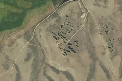 Camp site