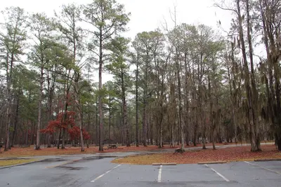 Florence Marina State Park campground - panoramio