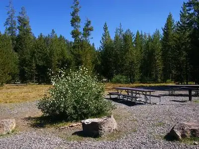 Big Springs Grp. Area - Island Park
