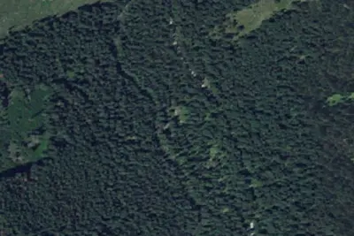 Arrow Forest Camp