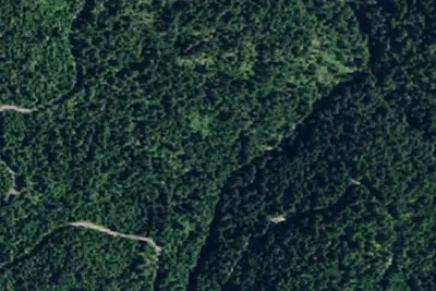 Rd 438 Site 7