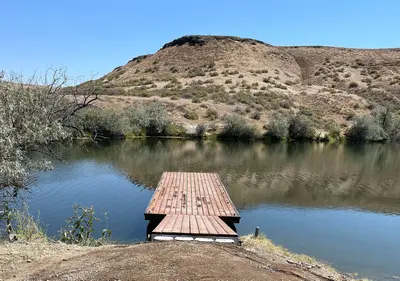 Cove 2025 (55027588958)