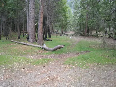 Campsites at Rancheria Falls above Hetch Hetchy. - panoramio