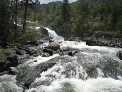 Rapids below Rancheria Falls - panoramio