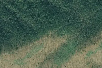Camp site