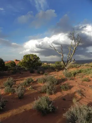 Looking north from the campground - panoramio
