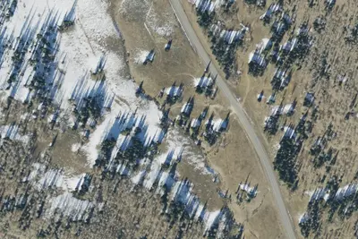 Camp site