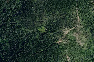 Mountain Springs