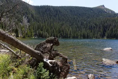 Bear Lake to Cub Lake (9762649492)