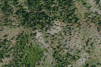 Camp site