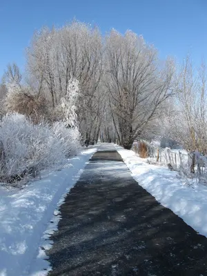 Section of Provo River Trail - panoramio