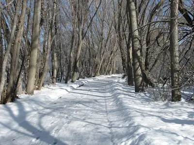 Bend in Provo River Trail - panoramio