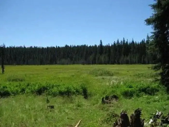 Joe Graham Horse Campground
