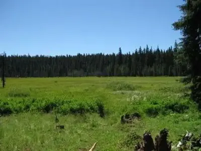 Joe Graham Horse Campground