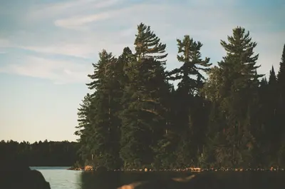 Island on Lake Opeongo, Algonquin Provincial Park