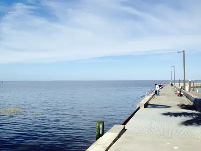 Palm Beach County, FL, USA - panoramio (34)