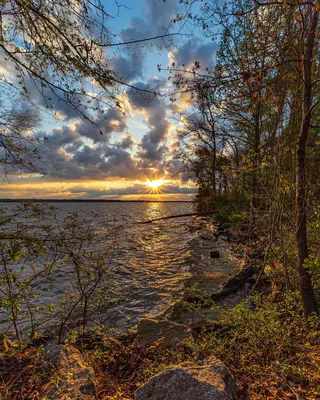 Lake Marion Sunrise (South Carolina) - Flickr - aparlette