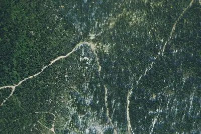 Fs Road 2667 (Roman Nose Access)