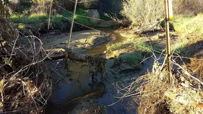 WR137 Tule Creek (early season) (33023296734)
