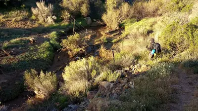 WR137 Descending to Tule Creek (33023293024)
