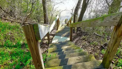 Patuxent River Park Apr 11, 2017, 9-009 edit (33896896122)