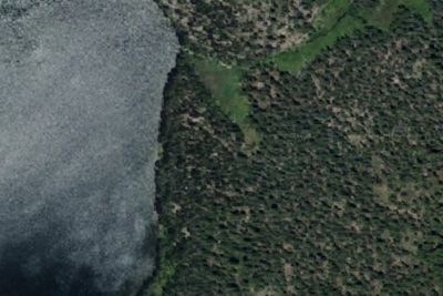 Camp site