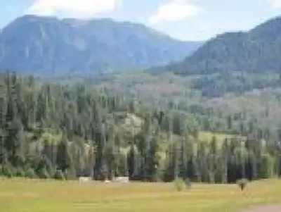 Williams Creek Campground