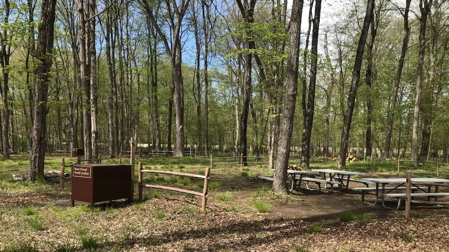 Overview of campsite