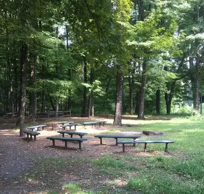 Gathering area