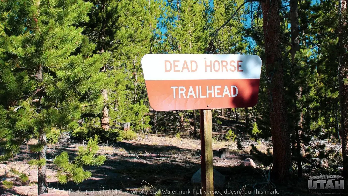 Deadhorse Trailhead Campground
