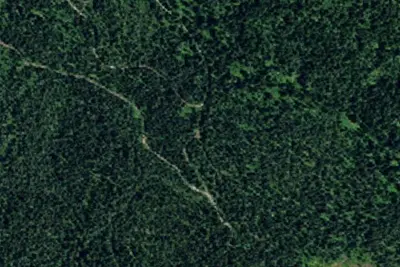 Nf5219rd-001