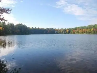 Island Lake Campground view