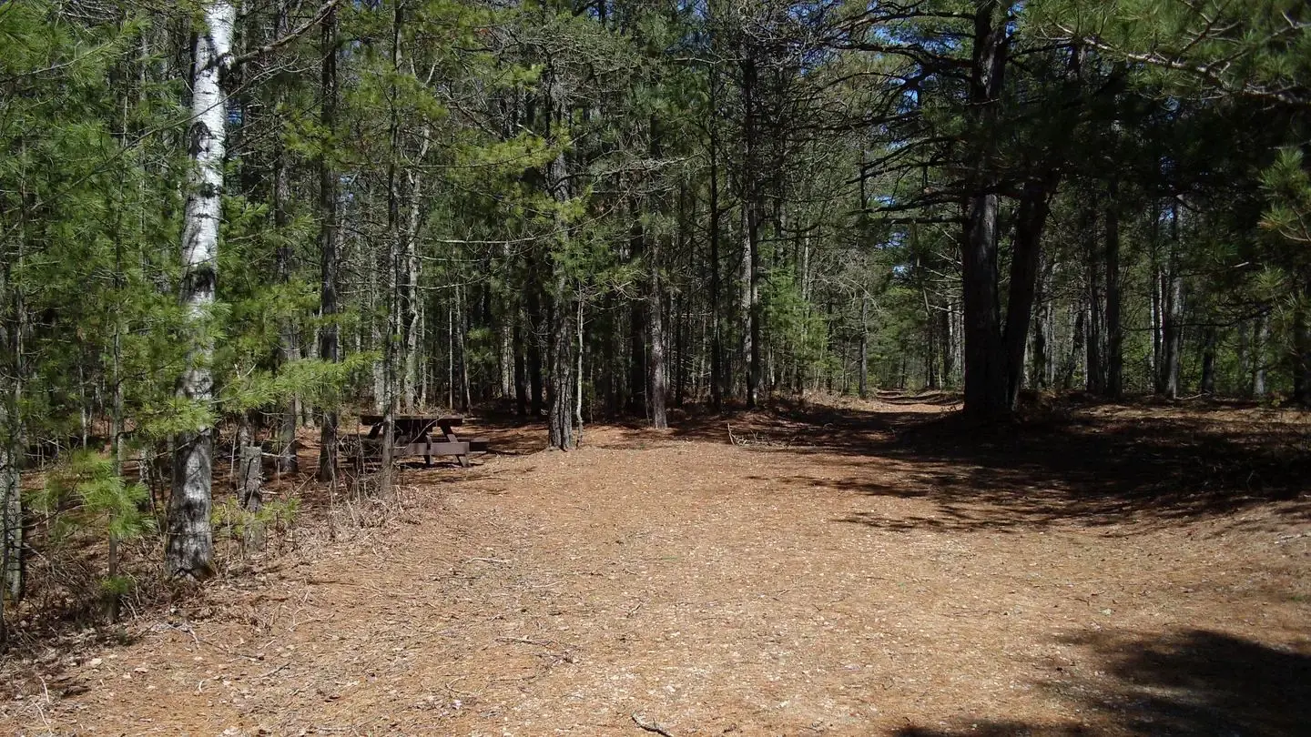 Island Lake Campground - Individual Site
