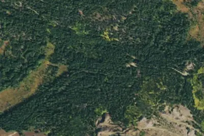 Camp site