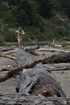 Traversing the Driftwood (30081777608)