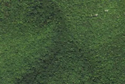 Camp site