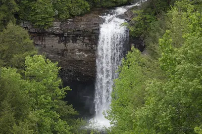 Foster Falls, Tennessee