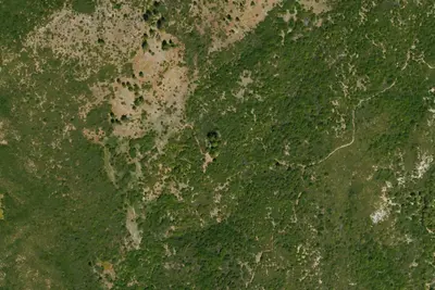 Pine Ridge Camp